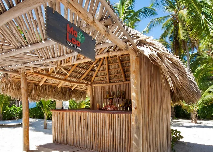 Catalonia Royal Bavaro (Adults Only)